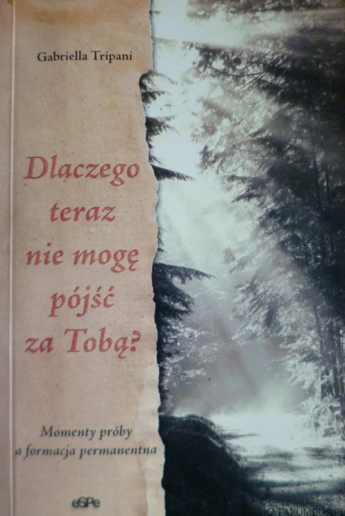 Dlaczego teraz nie mogę pójść za Tobą ? GABRIELLA TRIPANI