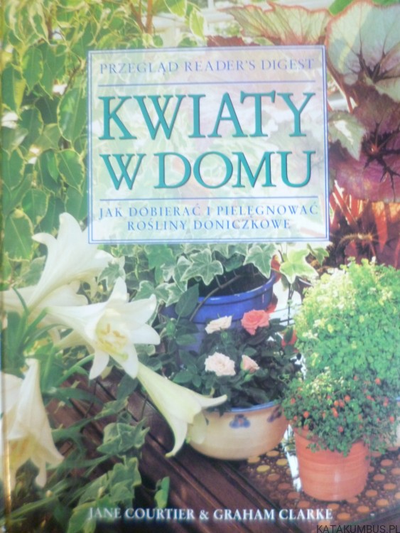 Kwiaty w domu