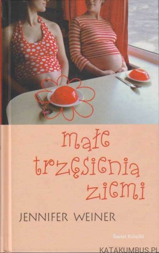 Małe trzęsienia ziemi. JENNIFER  WEINER