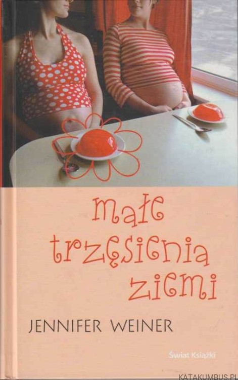Małe trzęsienia ziemi. JENNIFER  WEINER