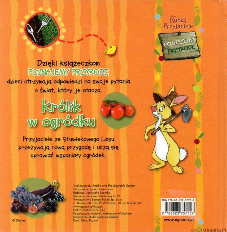 Królik w ogródku. RED. AGNIESZKA SPRYCHA2