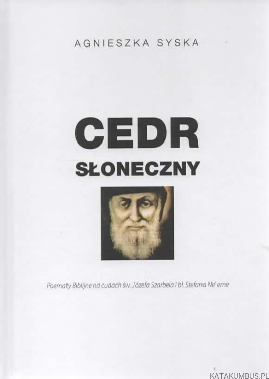 Cedr słoneczny. AGNIESZKA SYSKA
