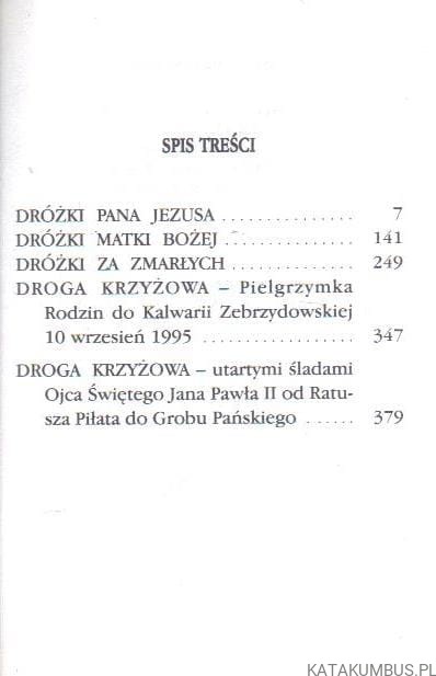 Chcę pod krzyżem stać przy Tobie. abp STANISŁAW NOWAK
