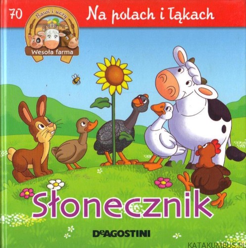 Na polach i łąkach. Słonecznik. PRACA ZBIOROWA