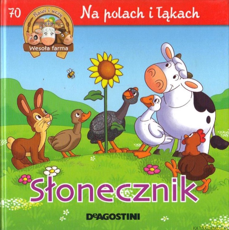 Na polach i łąkach. Słonecznik. PRACA ZBIOROWA