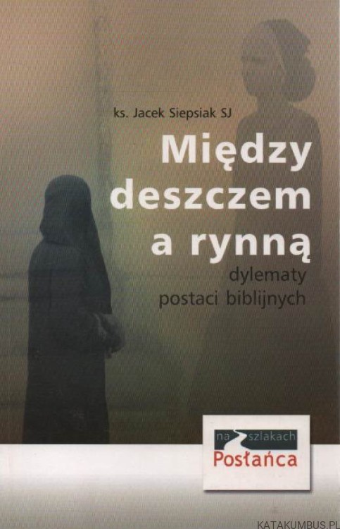 Między deszczem a rynną. Ks. JACEK SIEPSIAK SJ