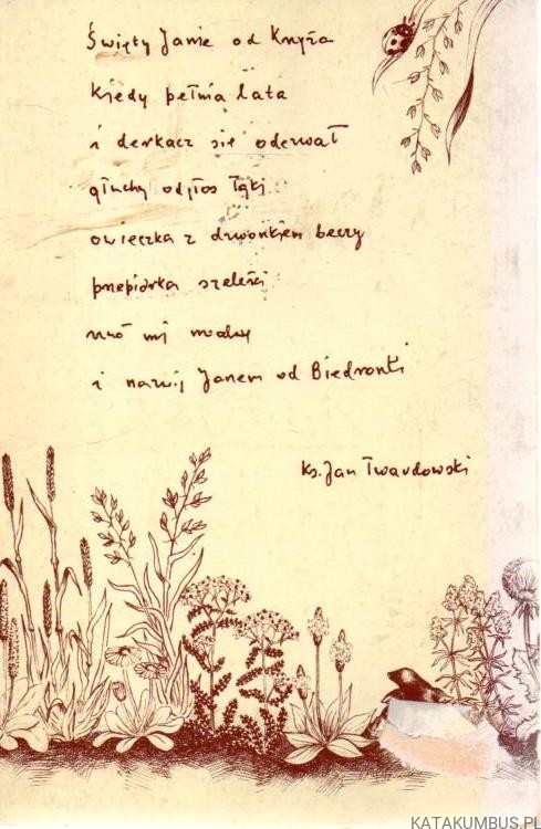 Trzeba iść dalej, czyli spacer biedronki. JAN TWARDOWSKI