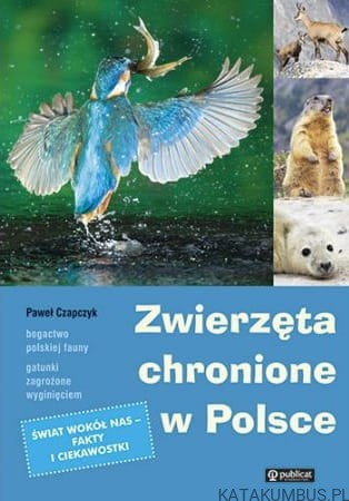 Zwierzęta chronione w Polsce. PAWEŁ CZAPCZYK