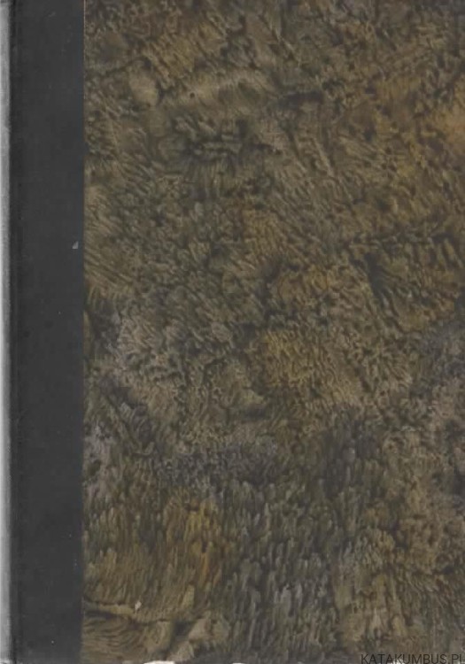 Kronika Dyecezji Kujawsko-Kaliskiej. Red. Ks. RUDOLF FILIPSKI (1924r.) 4