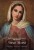 Niepokalane Serce Maryi. O. STEFANO MARIA MANELLI