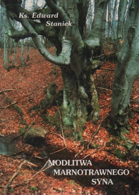 Modlitwa marnotrawnego syna. Ks. EDWARD STANIEK
