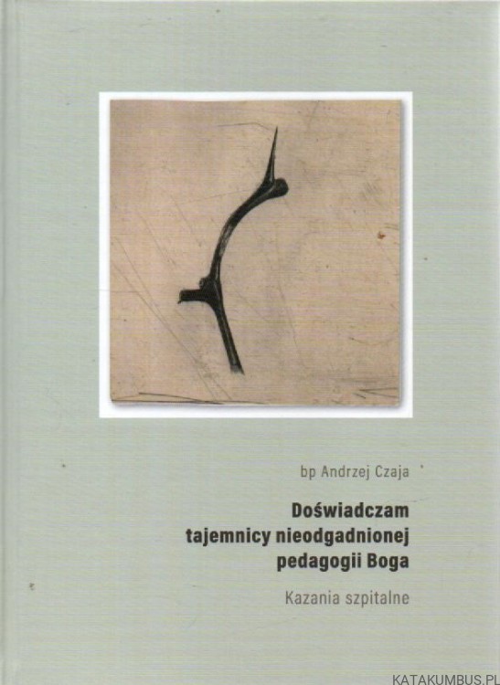 Doświadczam tajemnicy nieodgadnionej pedagogii Boga