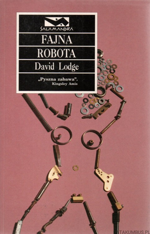 Fajna robota. DAVID LODGE.