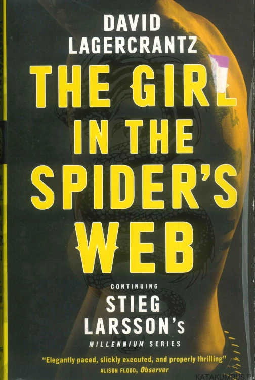 The girl in the spider's web. DAVID LAGERCRANTZ