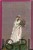 Wymarzony dom Ani. LUCY MAUD MONTGOMERY