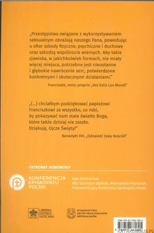 Świadomość i oczyszczenie. Ochrona małoletnich w Kościele. PRACA ZBIOROWA