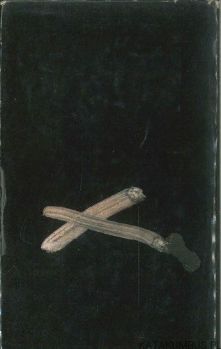 Coś się stało. JOSEPH HELLER