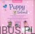 Puppy school. PRACA ZBIOROWA