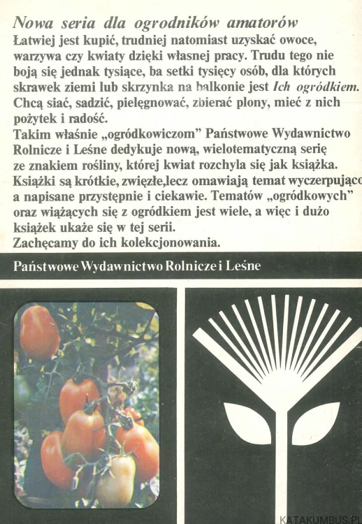 Warzywa o soczystych owocach. Pomidor, ogórek. KANISZEWSKI S