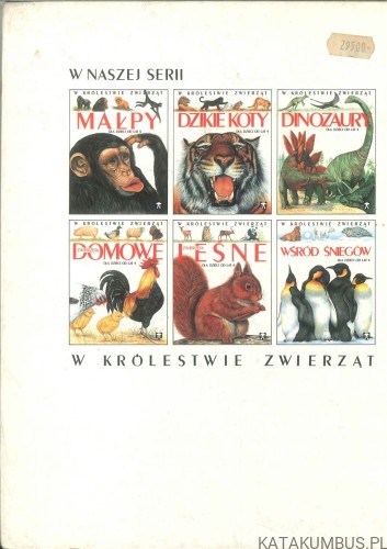 Dzikie koty. PRACA ZBIOROWA