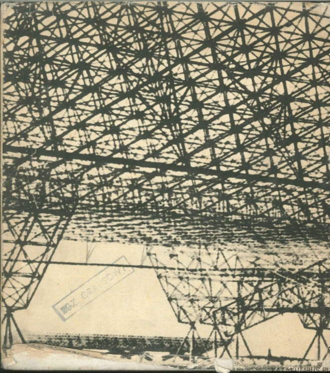 Przygody architektury XX wieku. PRZEMYSŁAW TRZECIAK