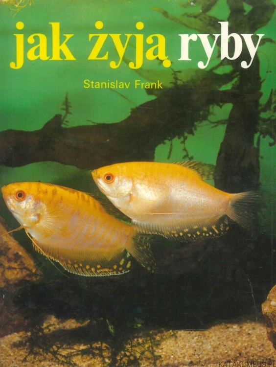 Jak żyją ryby. STANISLAV FRANK