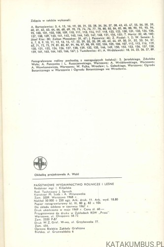 Kaktusy. W. SENETA