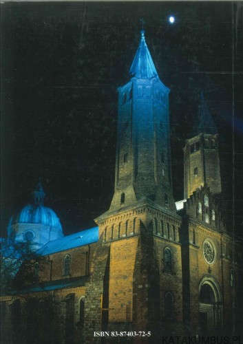 Nauczaj w każdy czas. ROMAN MARCINKOWSKI