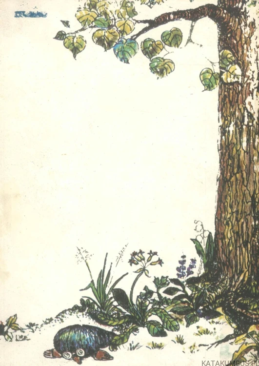 Boży ludek. WALDEMAR BONSELS