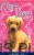 Magic Puppy: A New Beginning. SUE BENTLEY