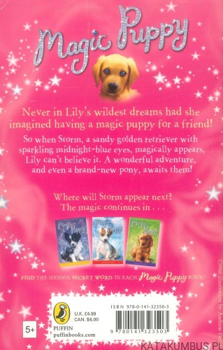 Magic Puppy: A New Beginning. SUE BENTLEY