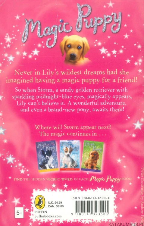 Magic Puppy: A New Beginning. SUE BENTLEY