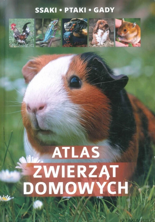 Atlas zwierząt domowych. Ssaki, ptaki, gady. PRACA ZBIOROWA