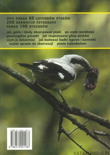 Ptaki. DARIUSZ GRASZKA-PETRYKOWSKI