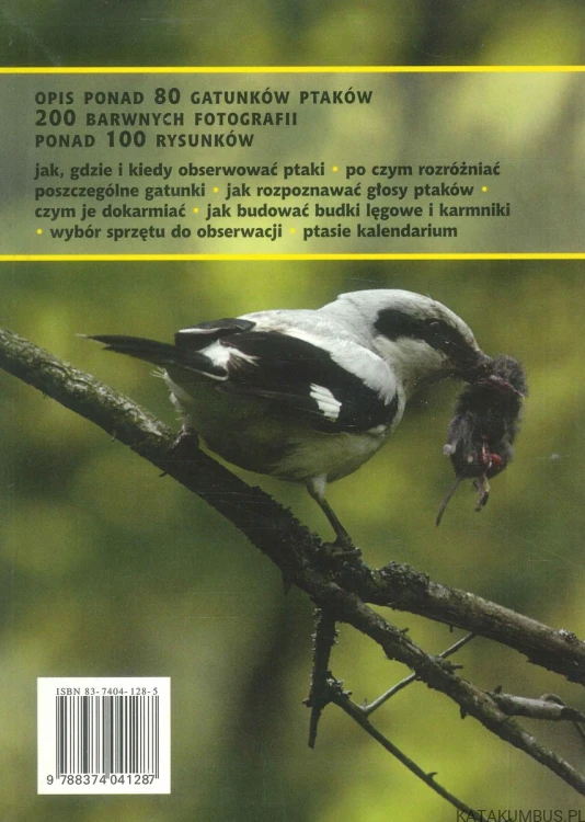 Ptaki. DARIUSZ GRASZKA-PETRYKOWSKI