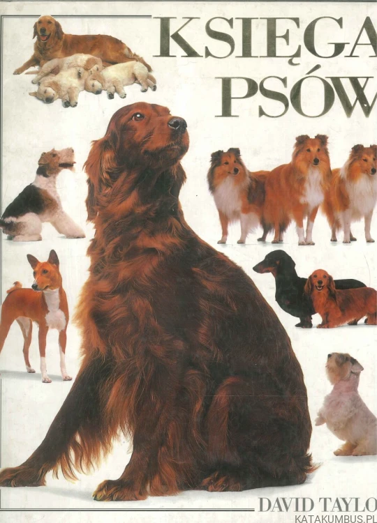 Księga psów. DAVID TAYLOR