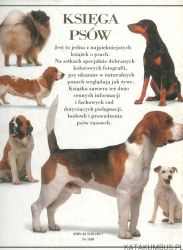 Księga psów. DAVID TAYLOR