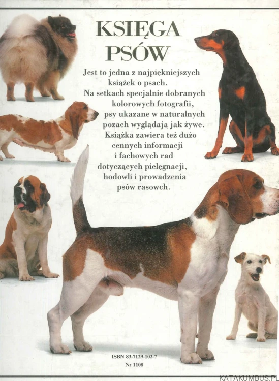 Księga psów. DAVID TAYLOR