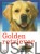 Golden retriever. BRIGITTE RAUTH-WIDMANN