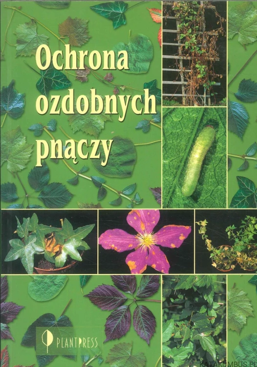 Ochrona ozdobnych pnączy. PRACA ZBIOROWA