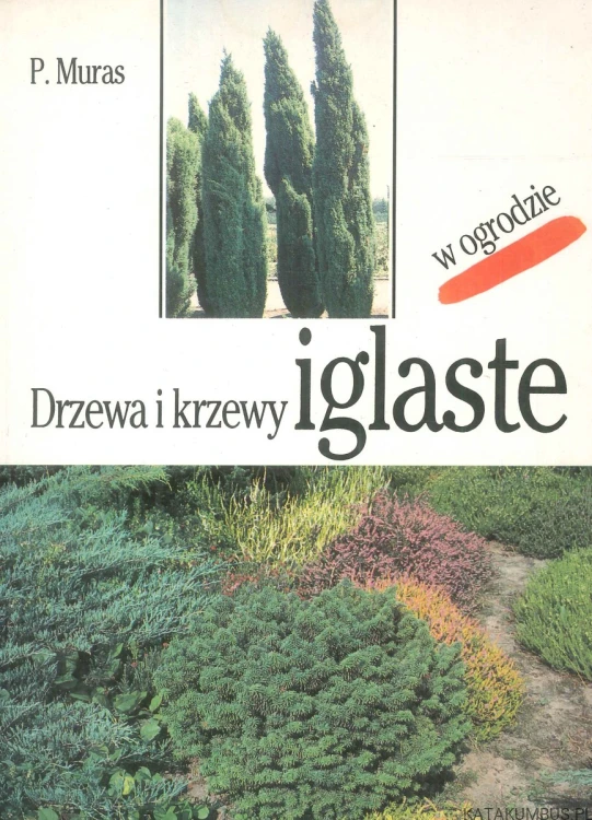 Drzewa i krzewy iglaste w ogrodzie. MURAS P