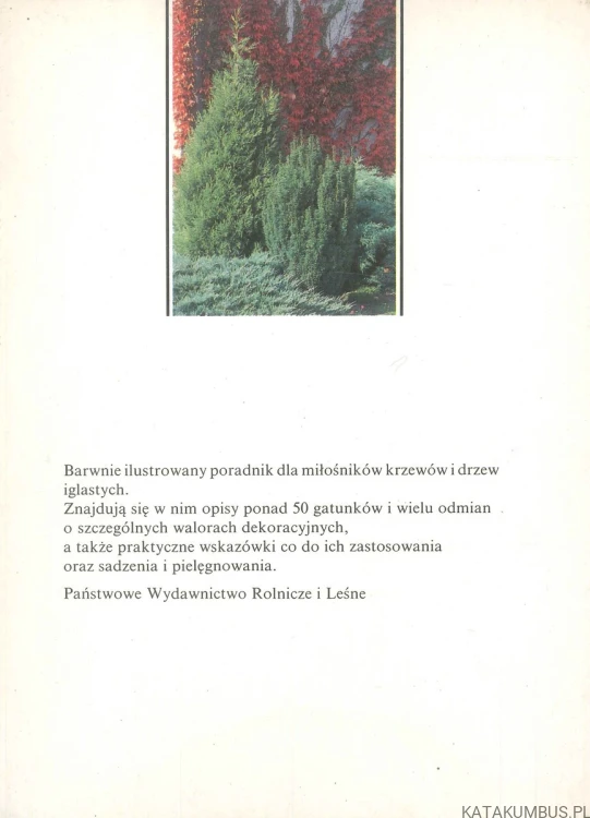 Drzewa i krzewy iglaste w ogrodzie. MURAS P
