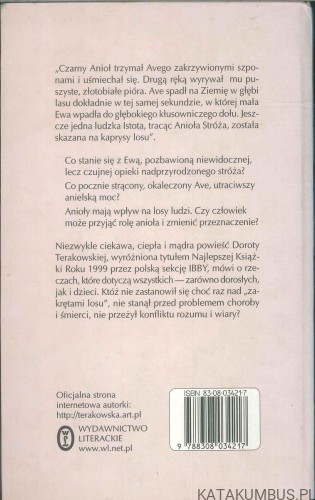 Tam gdzie spadają anioły. DOROTA TERAKOWSKA