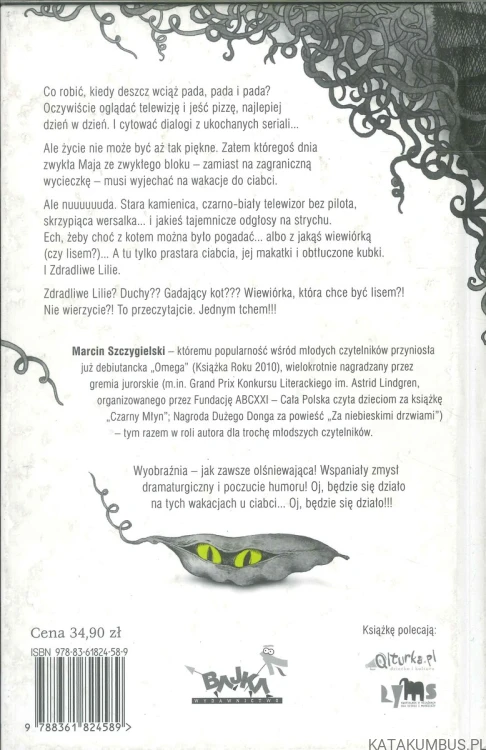 Czarownica piętro niżej. MARCIN SZCZYGIELSKI