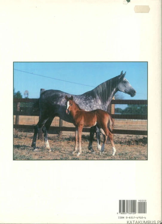 The pictorial encyclopedia of horses. WJ YENNE