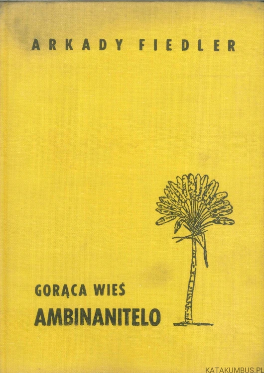 Gorąca wieś Ambinanitelo. ARKADY FIEDLER