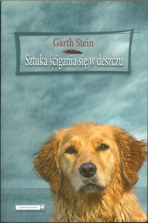 Sztuka ścigania się w deszczu. GARTH STEIN
