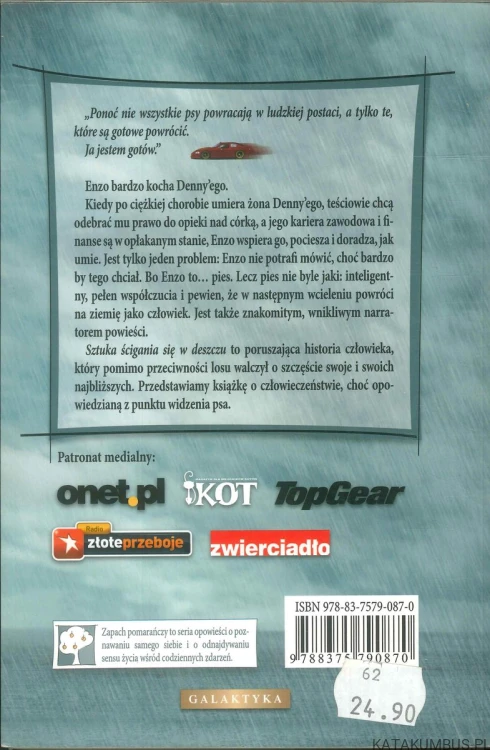 Sztuka ścigania się w deszczu. GARTH STEIN