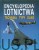 Encyklopedia lotnictwa. Technika, typy, dane. PRACA ZBIOROWA