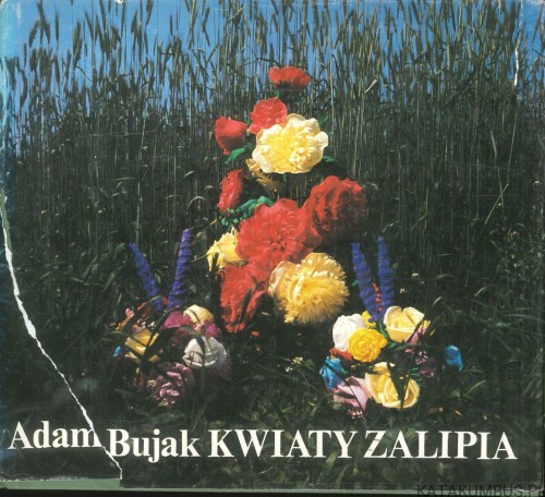 Kwiaty Zalipia. ADAM BUJAK